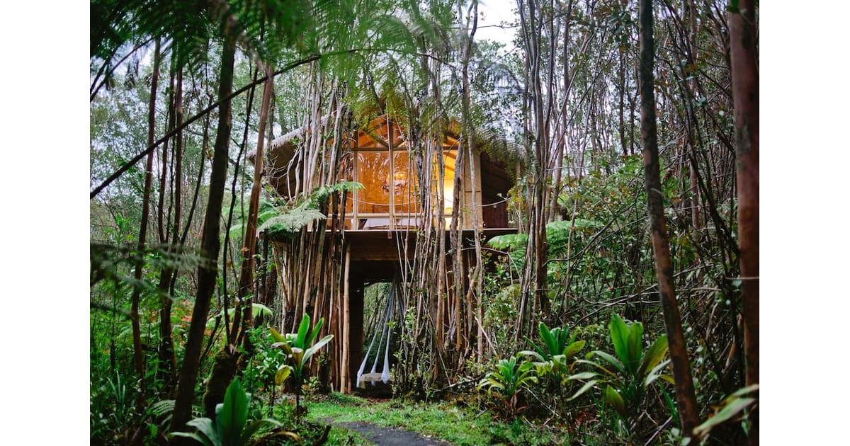 Fern Forest, HI Tiny Airbnb Beach Houses POPSUGAR Smart Living Photo 4
