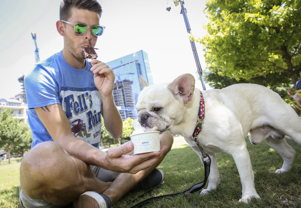 PetSmart Free Ice Cream