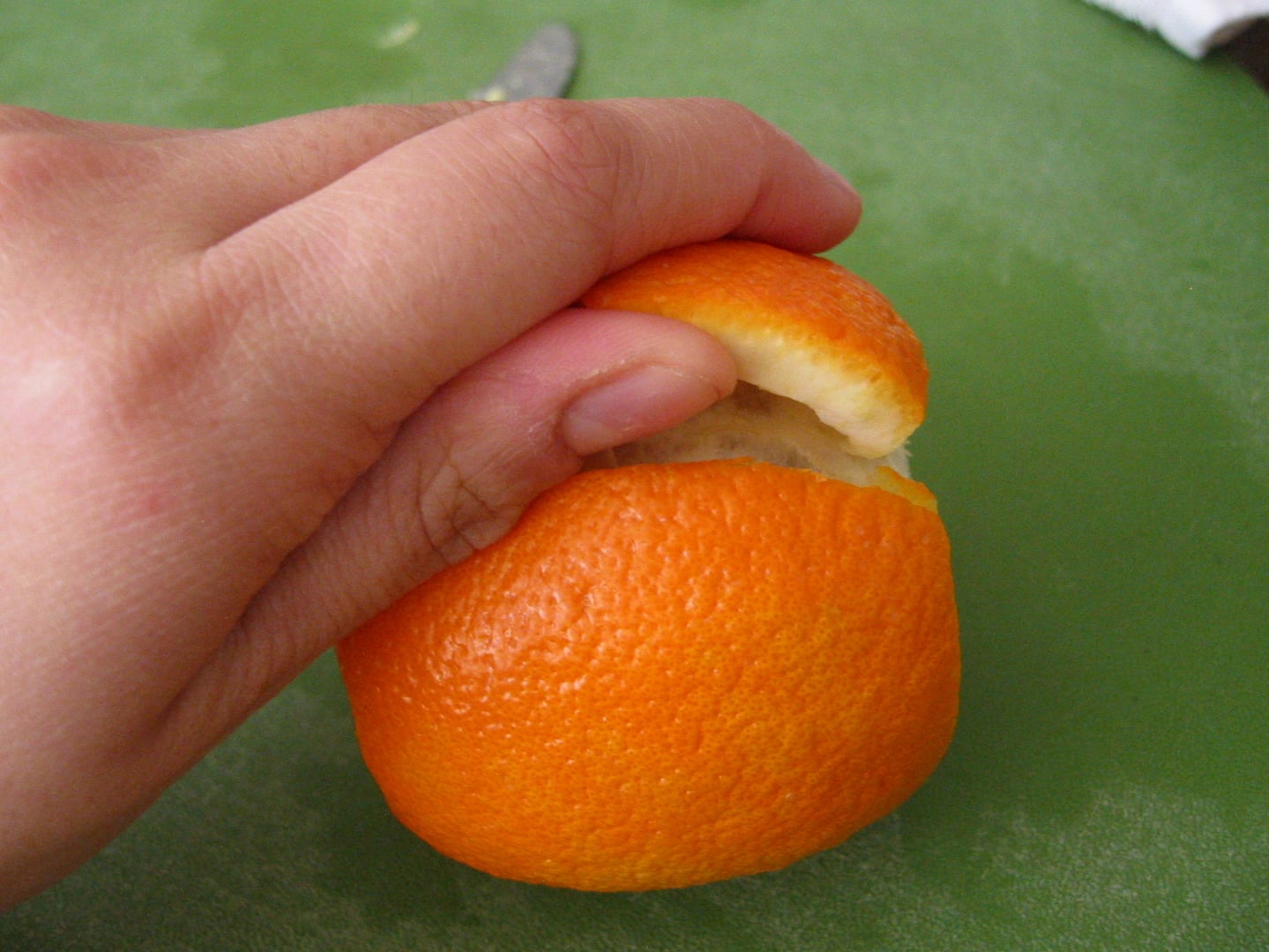 Candied Citrus Peel