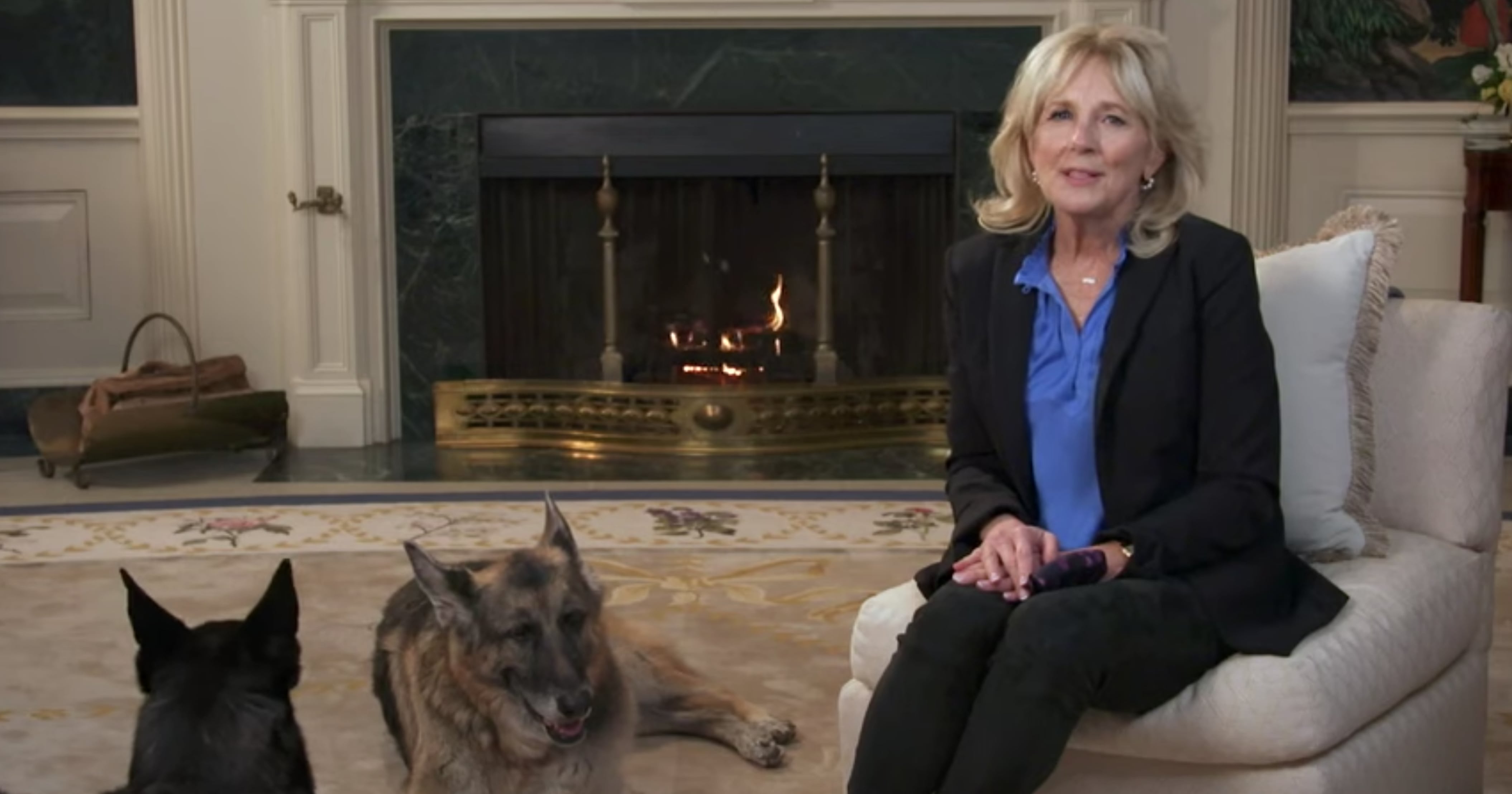 Watch Jill Biden's Puppy Bowl PSA With Dogs Champ and Major POPSUGAR Pets
