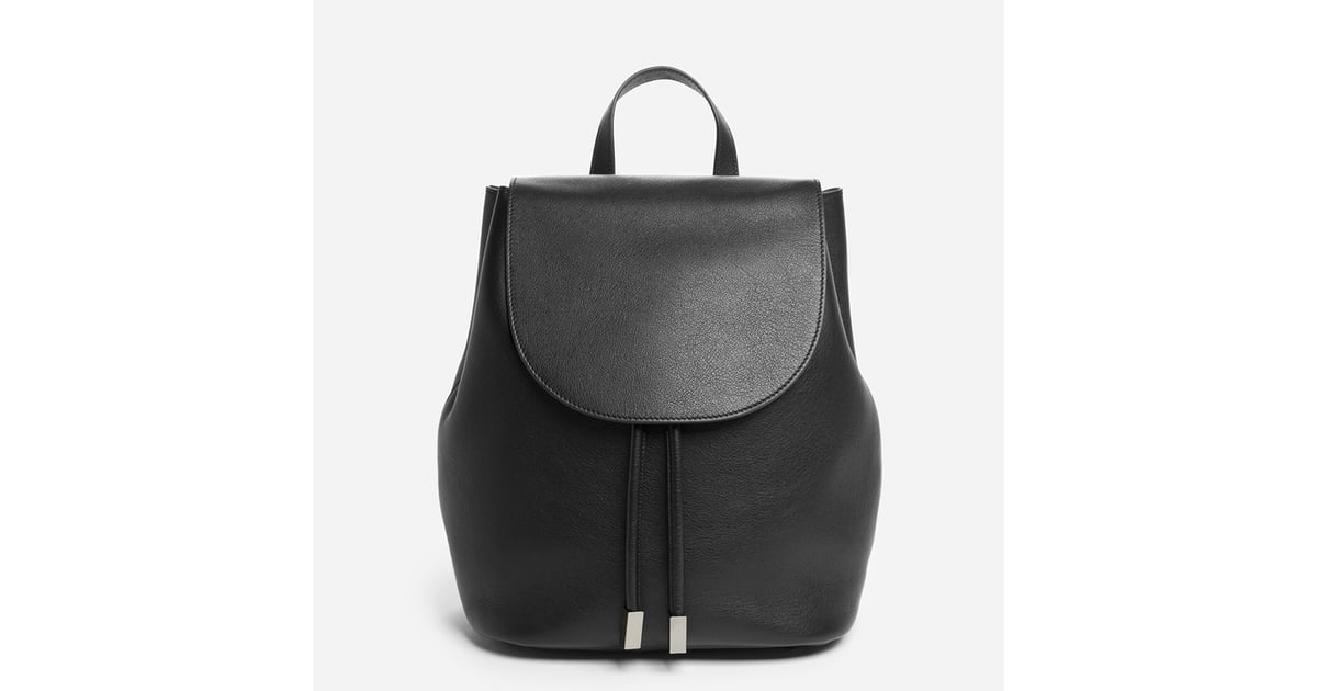 Everlane petra backpack 2025