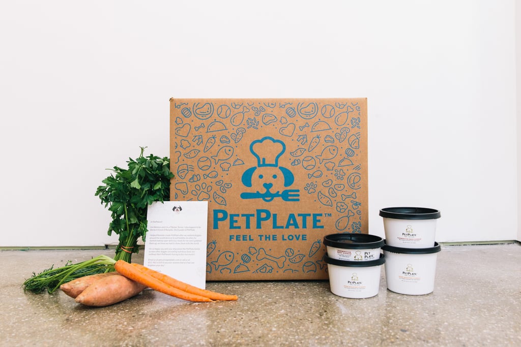 PetPlate Pet Food Delivery Review POPSUGAR Family