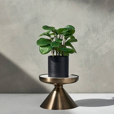 Hilton Carter for Target Iron and Marble Plant Stand