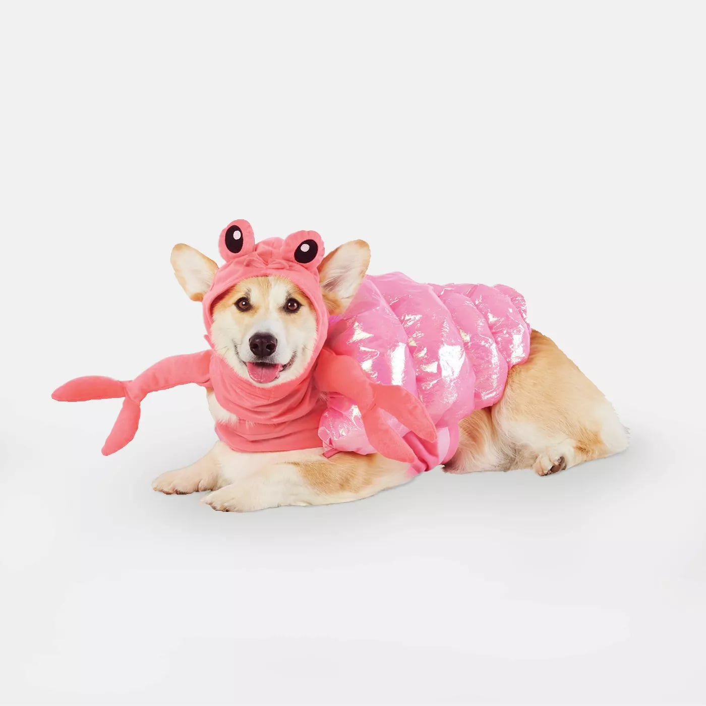 Dog flamingo costume hot sale