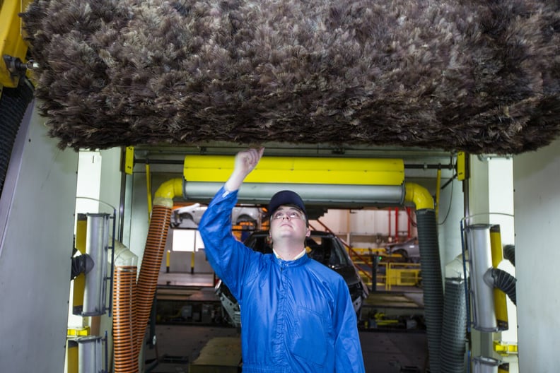 Female Ostrich Feathers Are Used to Take the Lint Off of Cars