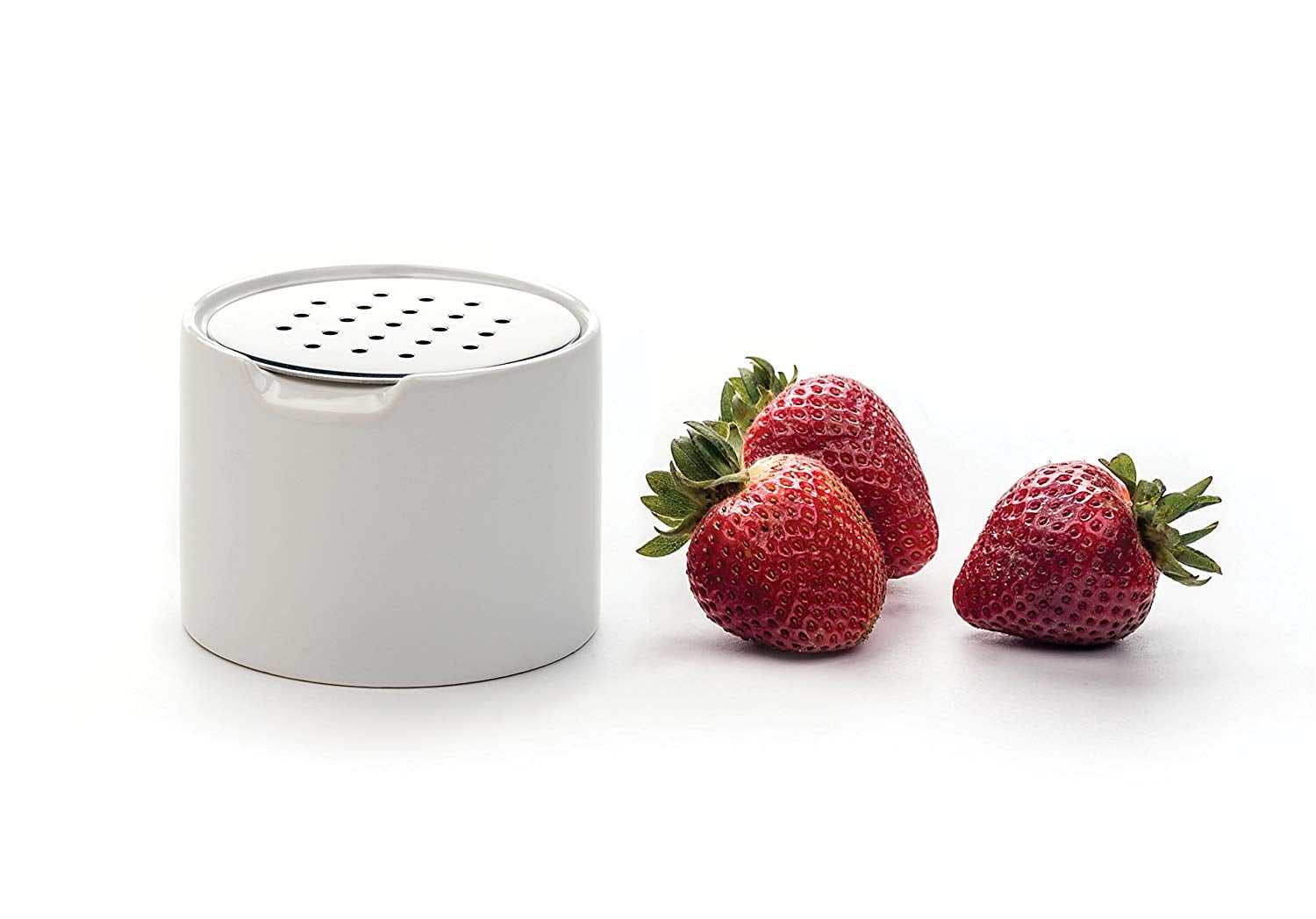 Best Fruit Fly Trap | POPSUGAR Home