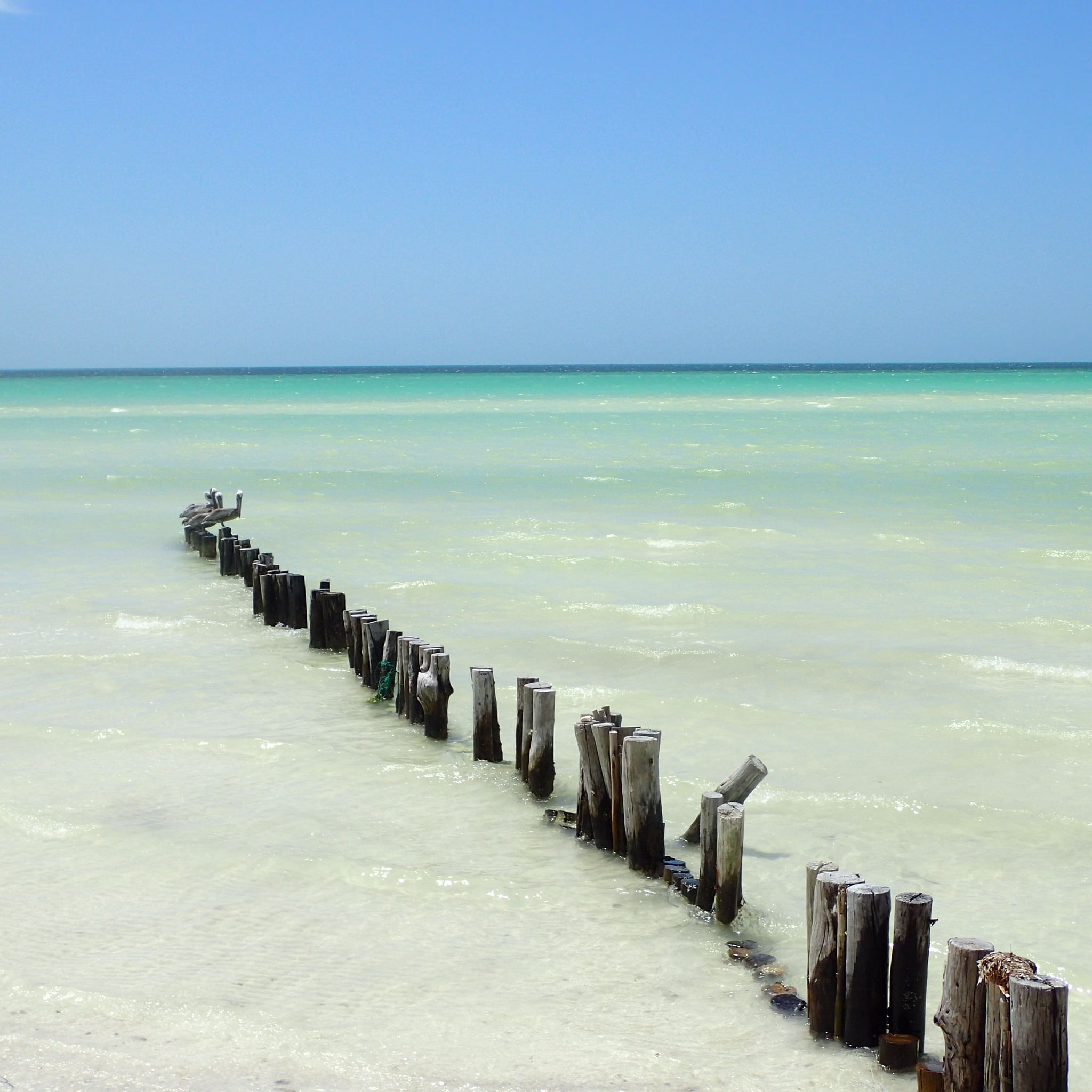 Isla Holbox Tips Popsugar Smart Living