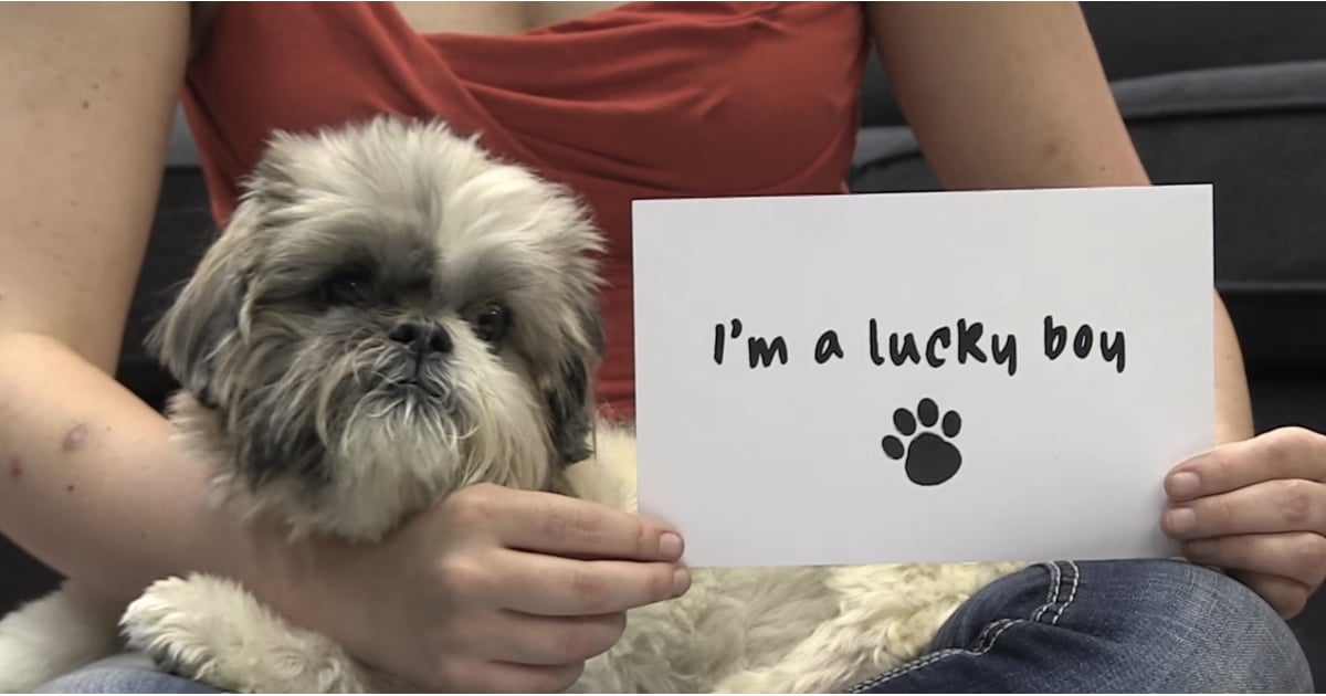 PETA Rescues Dog From Rabbit Hutch POPSUGAR Pets