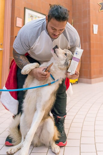 Cleveland Browns Player Donates to Animal Shelter