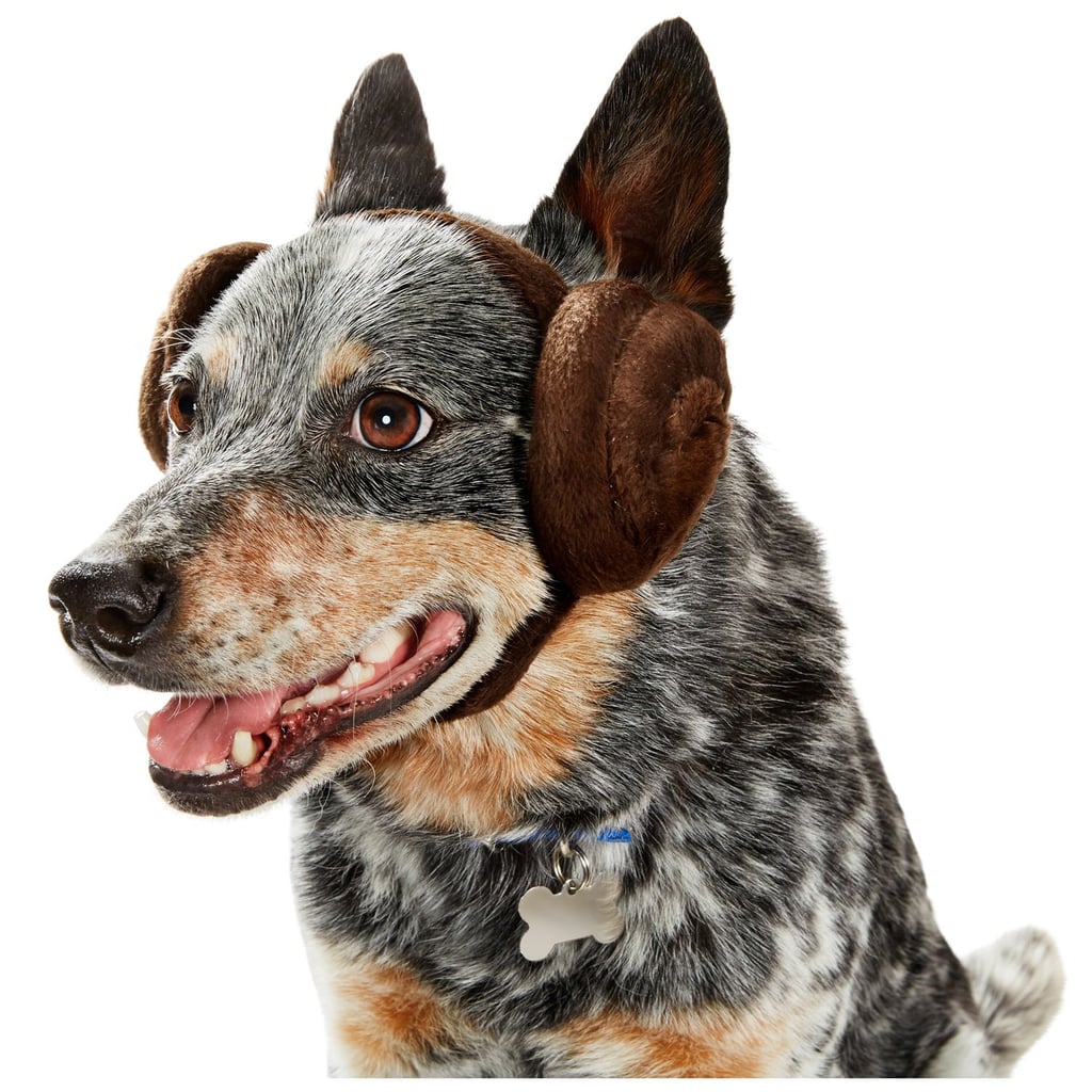 Princess Leia Dog Headband