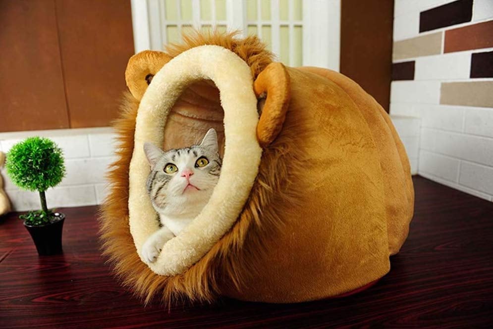 Geekercity Lion Cat Bed House