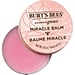 Best Burt's Bees Products