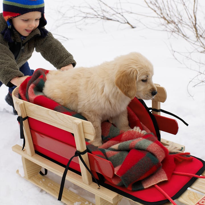 Must Have January 2016 Finds For Babies and Kids