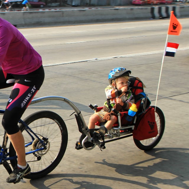 schwinn deluxe child carrier