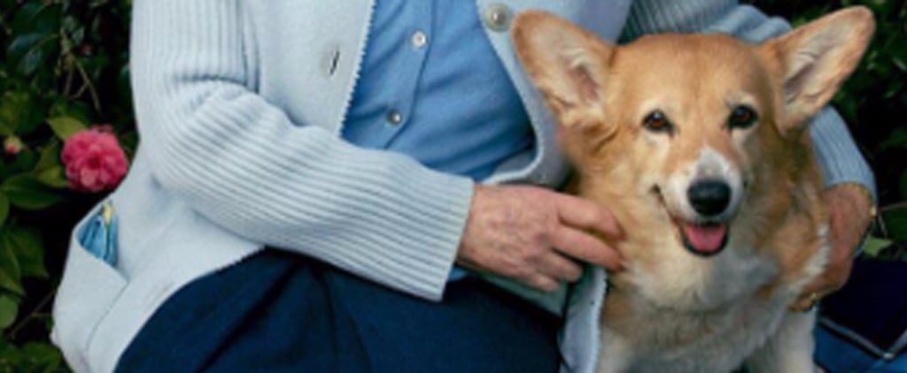 Queen Elizabeth's Corgi Died