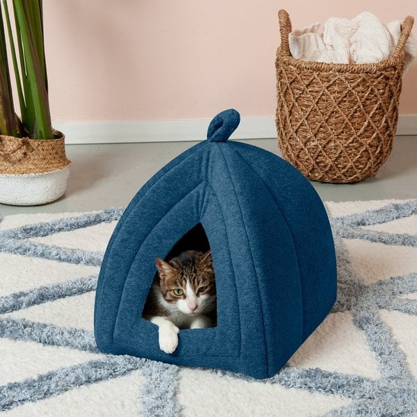 Best Pet Deal to Shop This Week