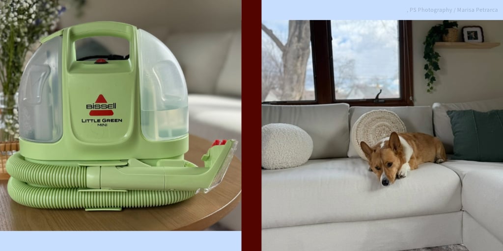 My New Mini Bissell Cleaner Is Made For Life With Pets and Crumbs