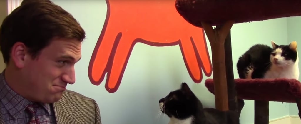 Funny Animal Shelter Commercial