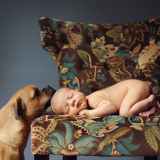 Adorable Newborn and Pet Photos