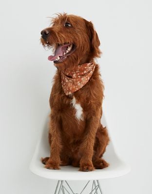 OFFLINE by Aerie x Aly Raisman Puppy Bandana