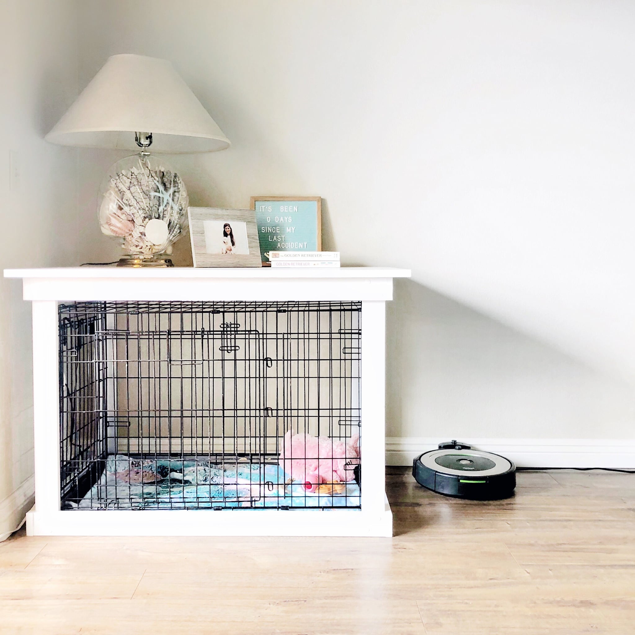 homemade inside dog kennel