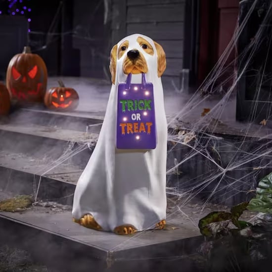 Shop Home Depot's Golden Retriever Ghost Decor