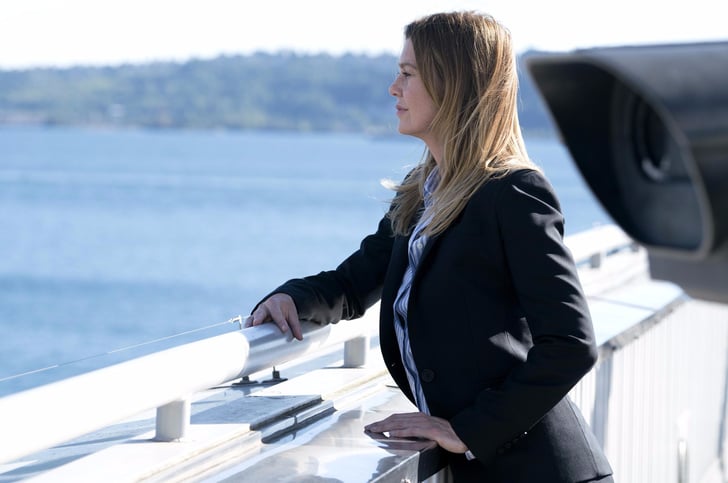 Is Meredith Going to Get Alzheimer's on Grey's Anatomy ...