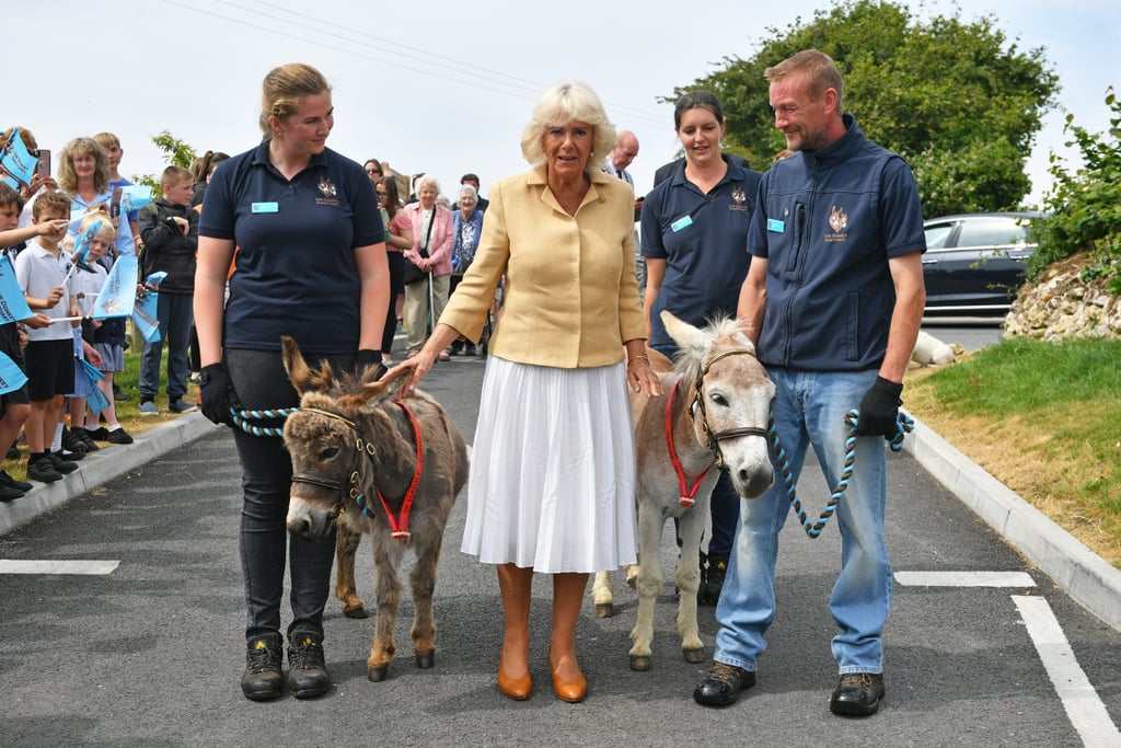 Camilla Parker Bowles Birthday Photos 2019