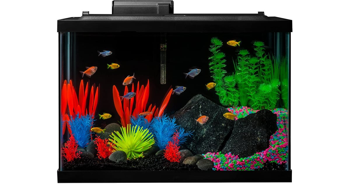 Glofish Aquarium Kit Fish Tank The 20 Best Fish Tanks for Beginners