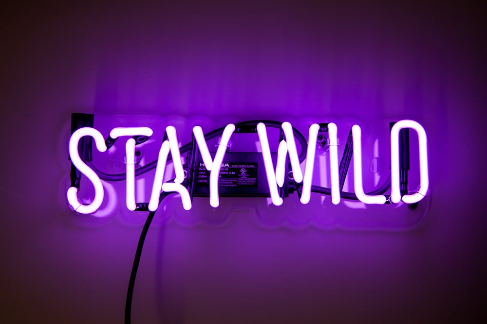 Stay Wild ($140)