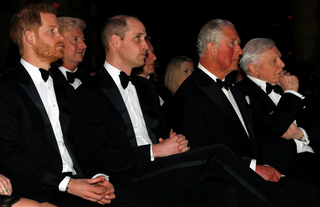 Harry, William, and Charles at Our Planet Premiere 2019