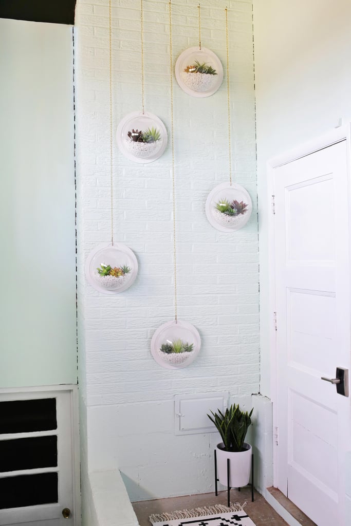 Hanging Terrarium