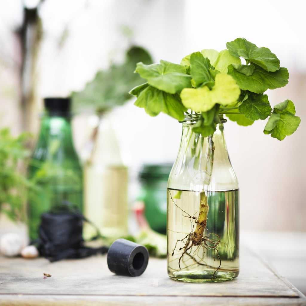 Hemsmak Carafe