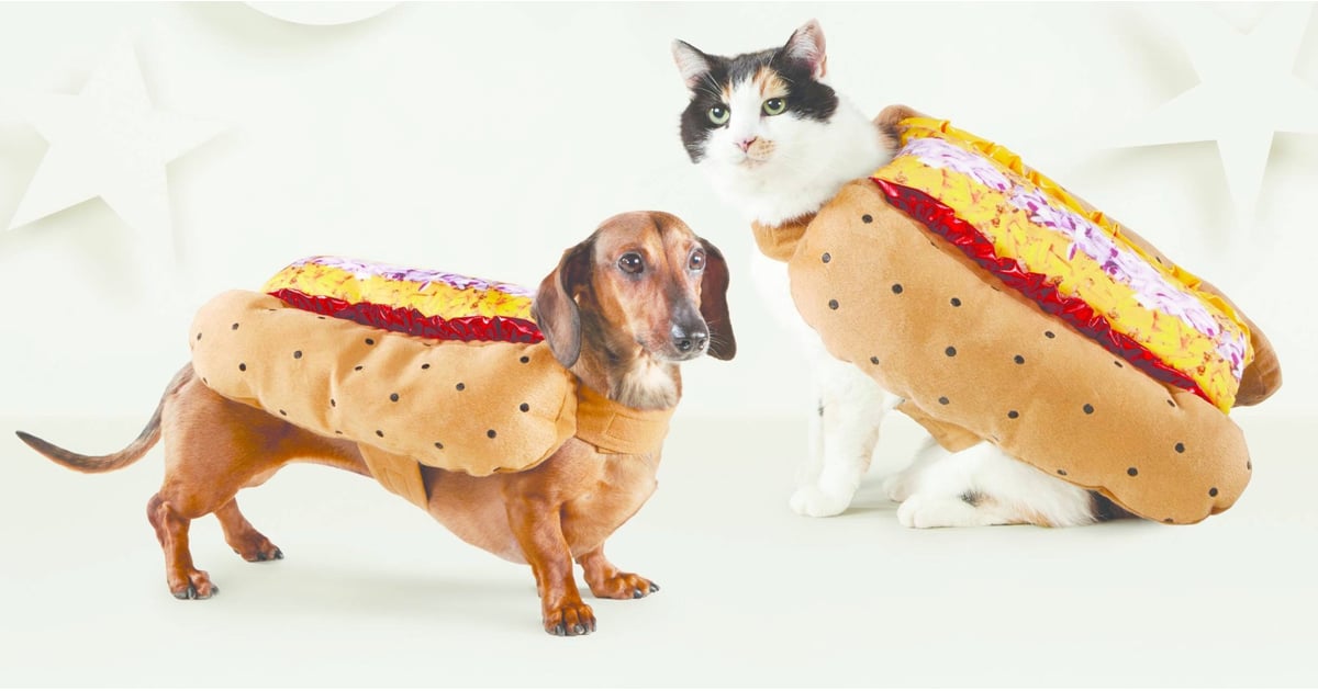 Cheap Pet Costumes POPSUGAR Smart Living
