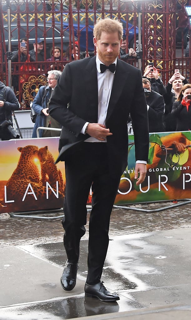 Harry, William, and Charles at Our Planet Premiere 2019