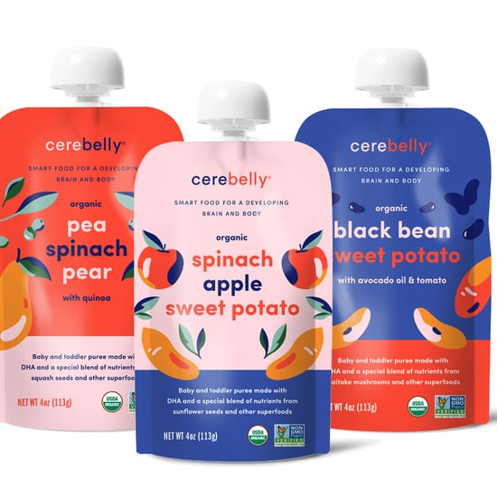 Cerebelly Baby Food Review