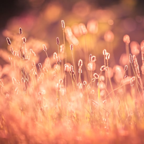 Design Updates For Oct. 27, 2015