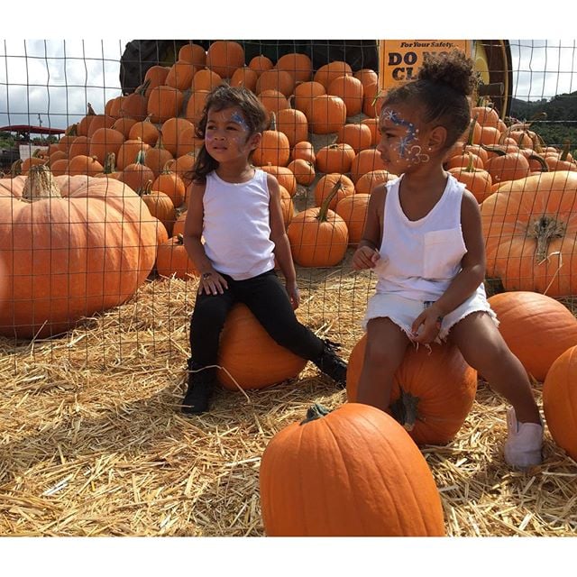 North and her friend picked out pumpkins in October 2015.