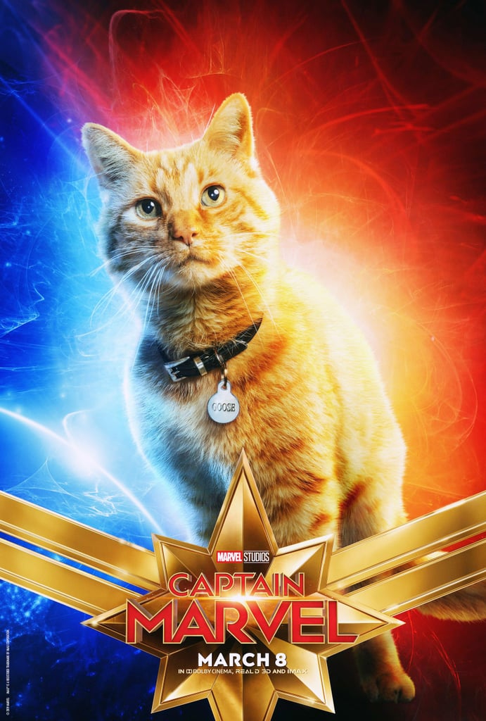 Captain Marvel Cat Photoshop Tweets