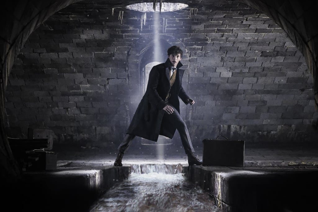 Fantastic Beasts and Where to Find Them 2 Photos