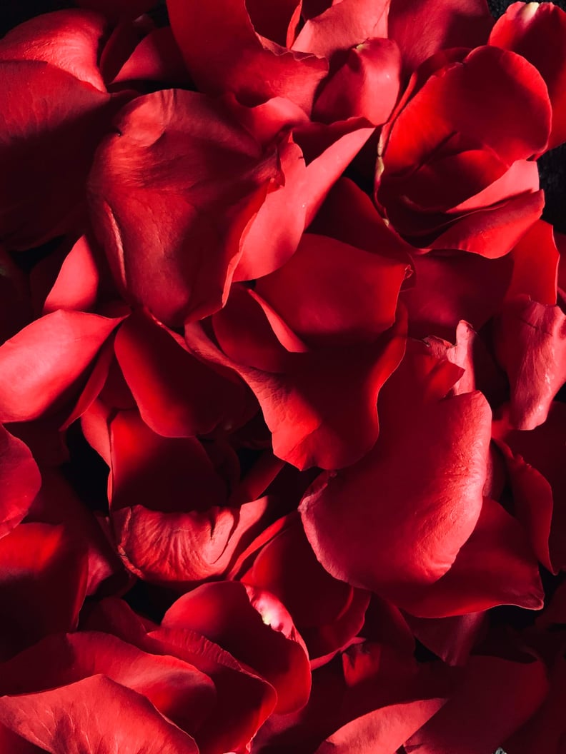 Valentine's Day Wallpaper: Red Rose Petals
