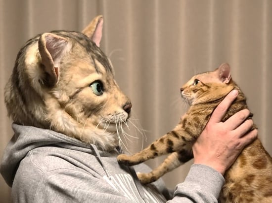 realistic cat slippers