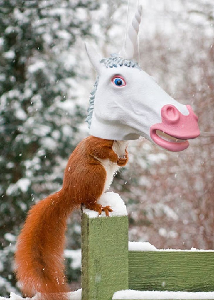 Something You Have to See to Believe: Unicorn Head Squirrel Feeder by Archie McPhee