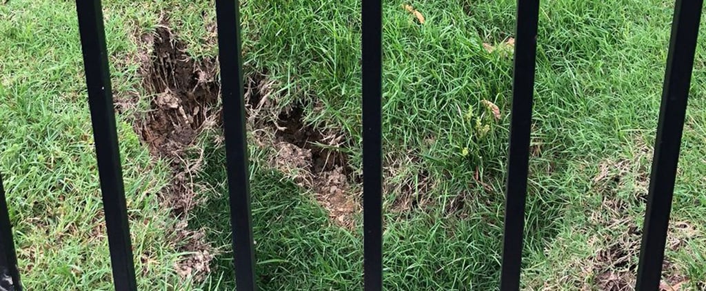 Sinkhole on White House Lawn May 2018