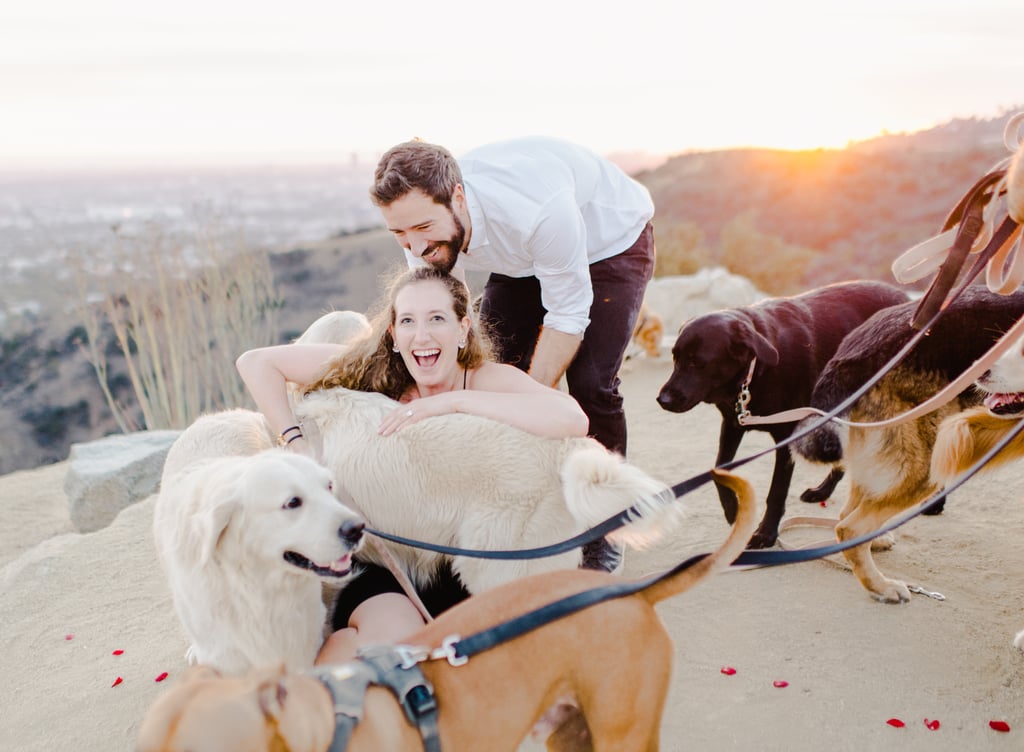 Man Proposes to His Girlfriend With 16 Dogs