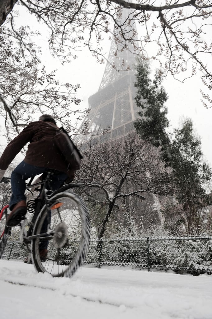 Eiffel Tower Pictures