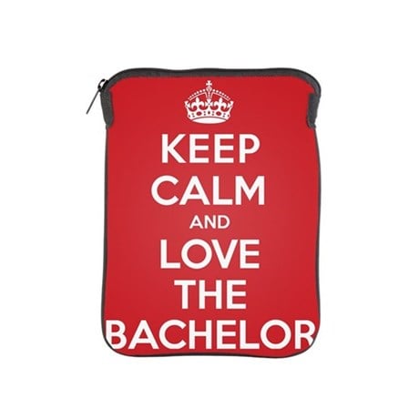 iPad Sleeve