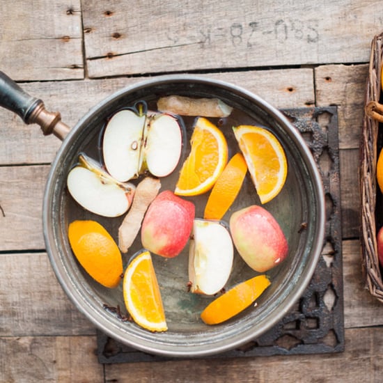 Homemade Christmas Potpourri