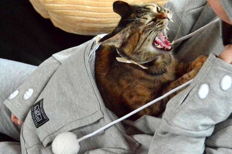 Mewgaroo Hoodie With Cat Pocket POPSUGAR Pets