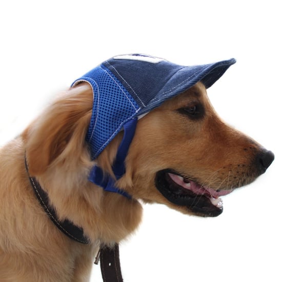 Dog Baseball Cap Sport Cap on Amazon
